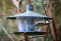 Krmítko Finch, antracit