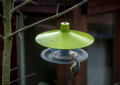 Krmítko Finch, zelená