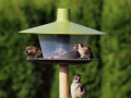 Krmítko Finch, zelená