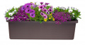 Samozavlažovací velkoobjemový truhlík Berberis TRIO 117x39x35 cm, čokoláda