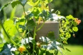 Samozavlažovací závěsný květináč Berberis 30 cm, taupe / béžová