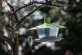 Krmítko Finch, zelená