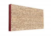 FiberPro - Binary Pozitiv 120