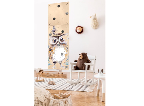 Lezecká stěna pro děti OWL
